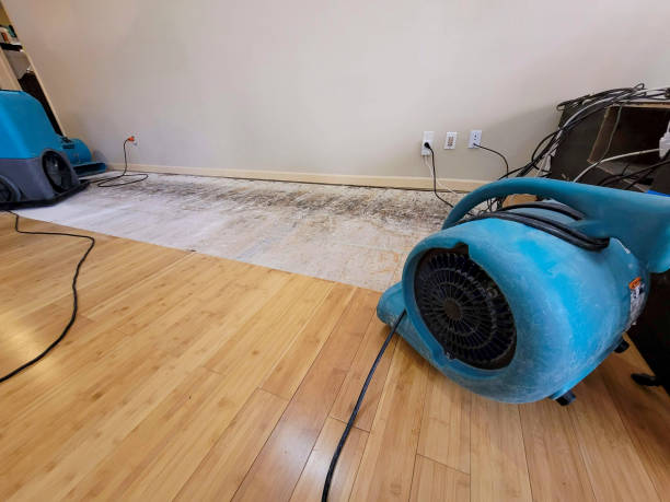 Professional Water Damage Repair technician working in Stowell, TX